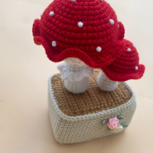 mushroom plant mushroom plant