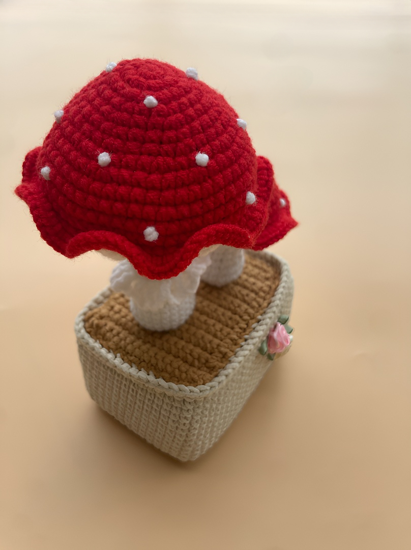 crocheted dragon fruit girl