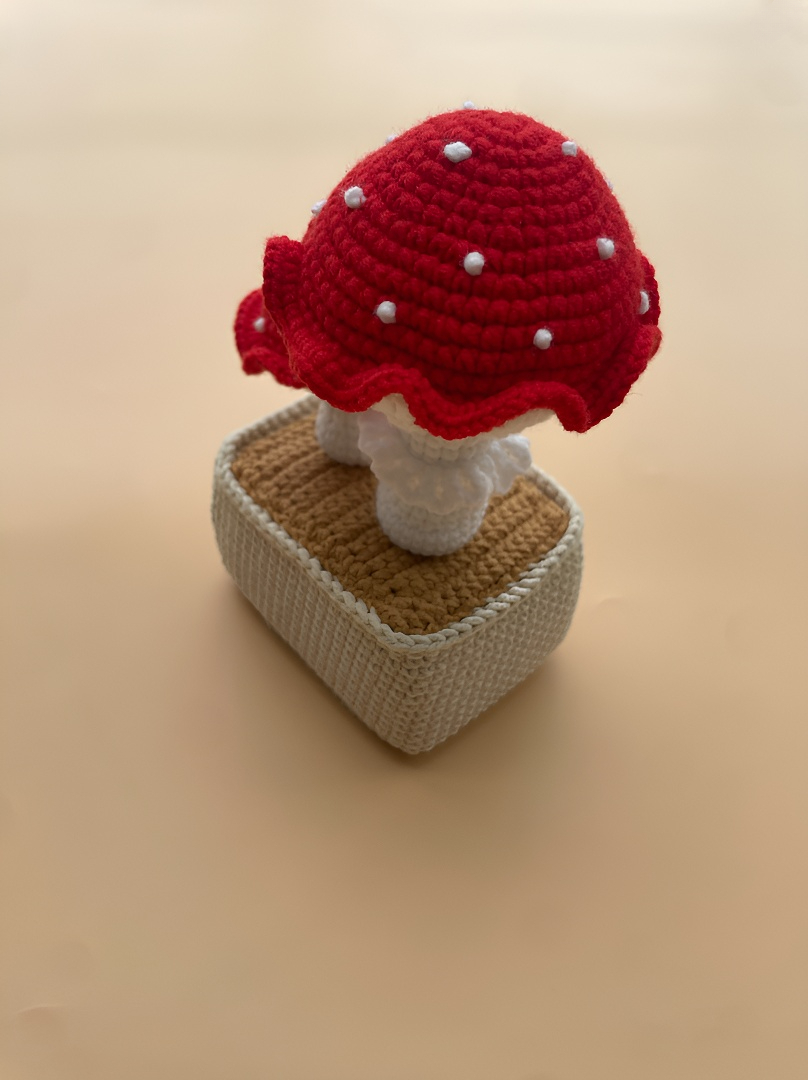 crocheted dragon fruit girl