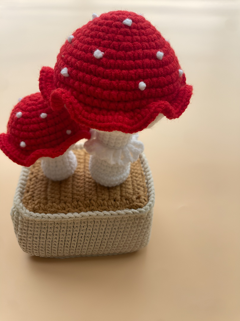 crocheted dragon fruit girl