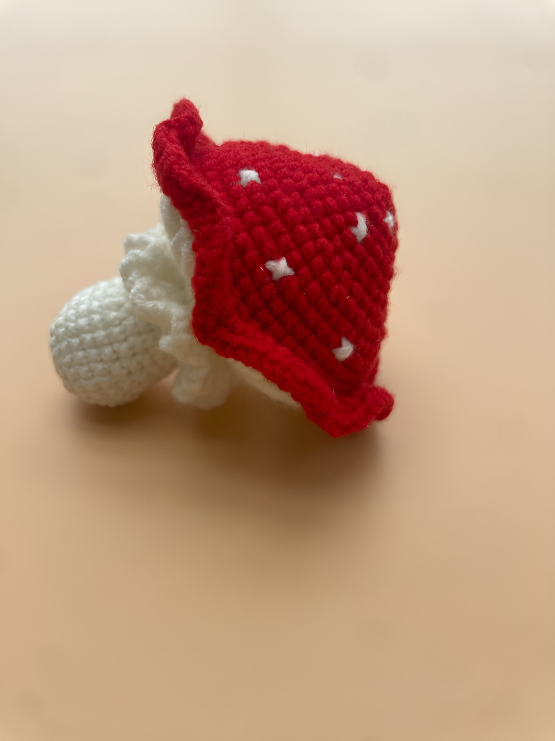 crocheted dragon fruit girl