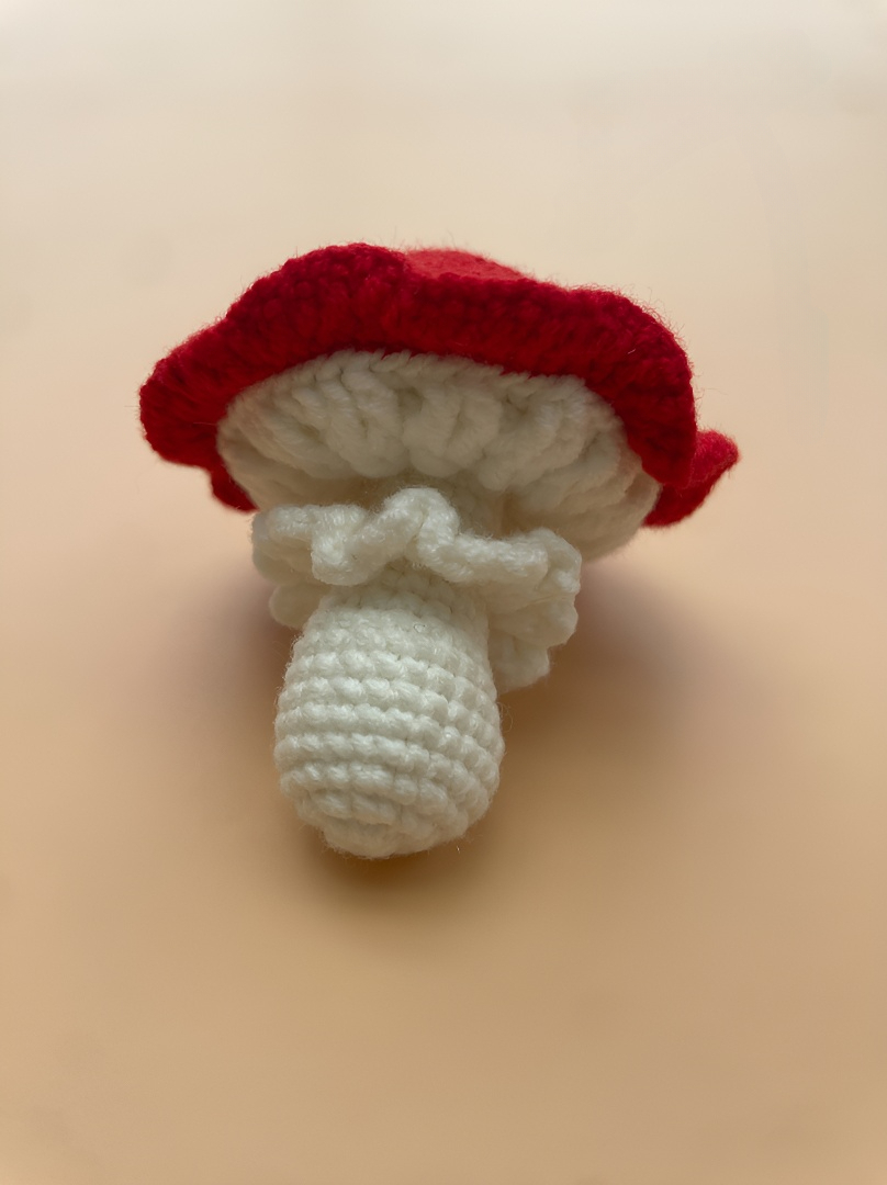crocheted dragon fruit girl