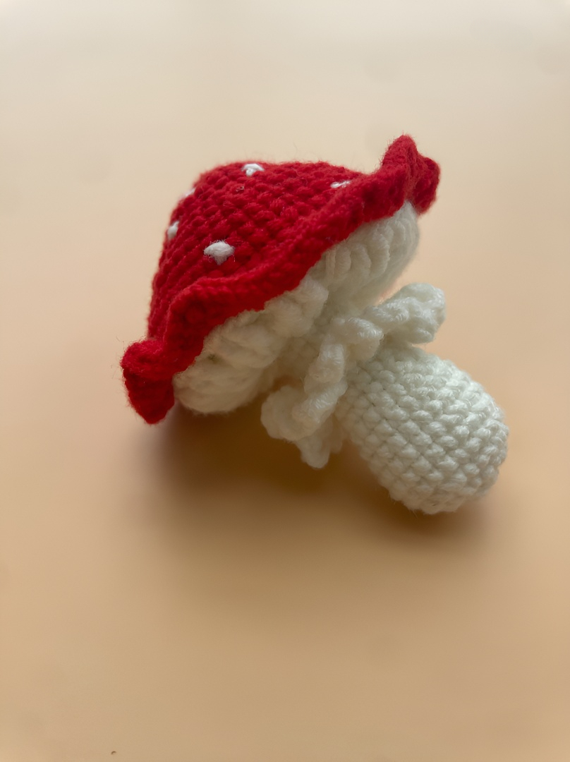 crocheted dragon fruit girl