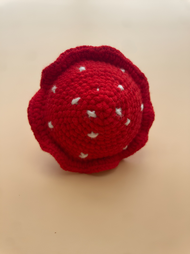 crocheted dragon fruit girl
